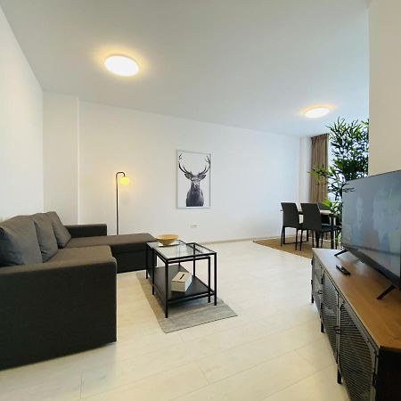 Charming Flat In Brasov With Balcony Panoramic View Apartment Екстериор снимка