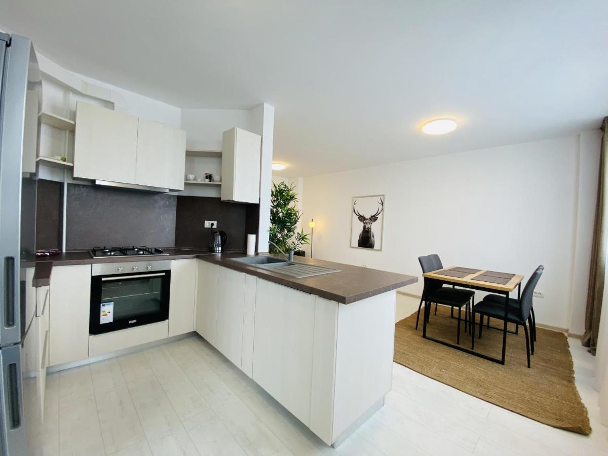 Charming Flat In Brasov With Balcony Panoramic View Apartment Екстериор снимка